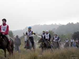 Endurance riding