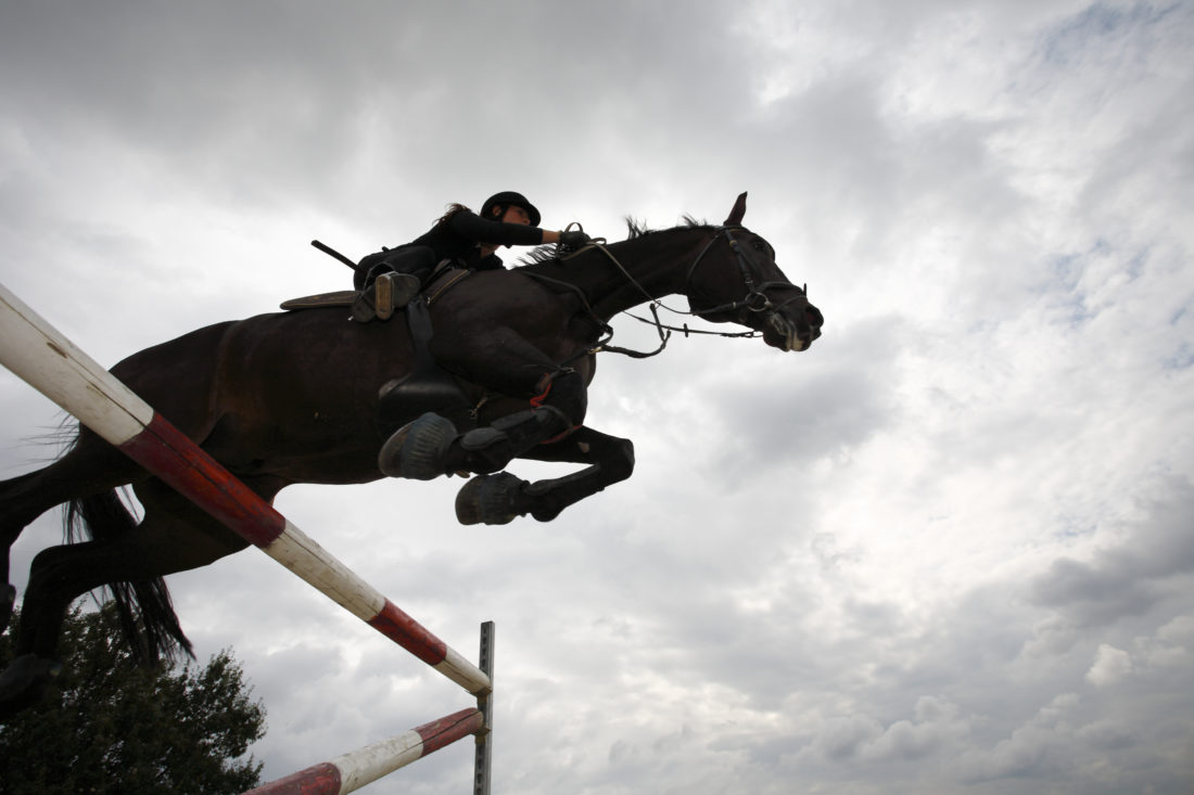 Show jumping