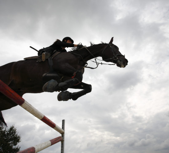 Show jumping